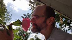 Ronald Schuzer Ronald Schuzer